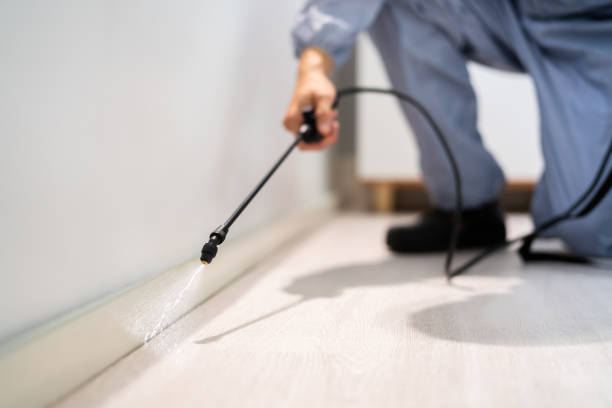 Certified termite inspector examining foundation in North Port